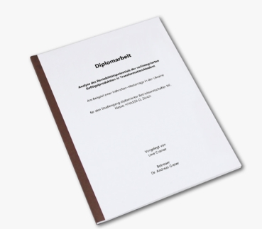 Preview: Budget (Druck schwarz/weiss)