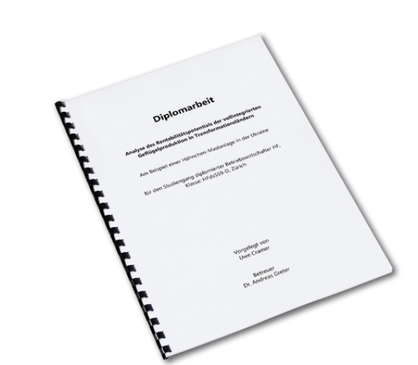 Budget (Druck schwarz/weiss)