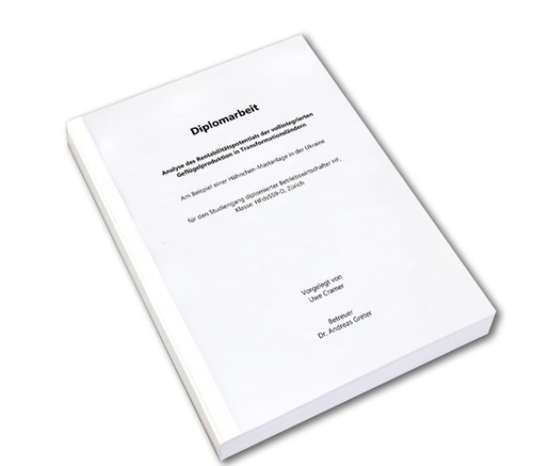 Budget (Druck schwarz/weiss)